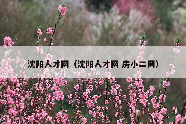 沈陽(yáng)人才網(wǎng)(沈陽(yáng)人才網(wǎng)招聘)