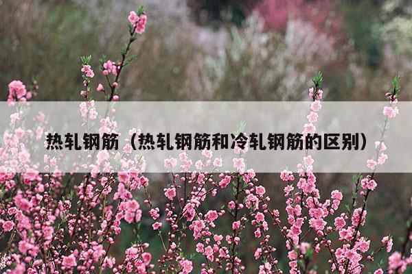 熱軋鋼筋(熱軋鋼筋屈服點零基礎(chǔ)講解)