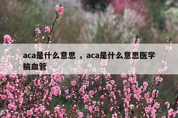 aca是什么意思aca是什么意思醫(yī)學(xué)腦血管