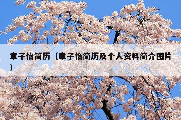 章子怡簡歷(章子怡簡歷個(gè)人資料)