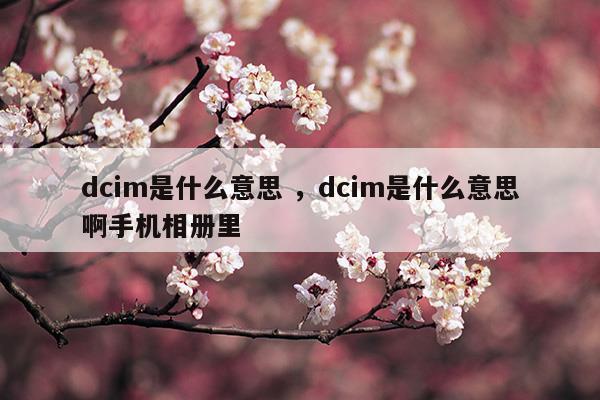 dcim是什么意思dcim是什么意思啊手機(jī)相冊(cè)里(dcim是什么意思dcim是什么意思啊手機(jī)相冊(cè)里)