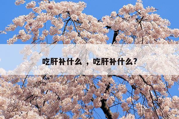 吃肝補(bǔ)什么吃肝補(bǔ)什么(吃肝補(bǔ)什么)