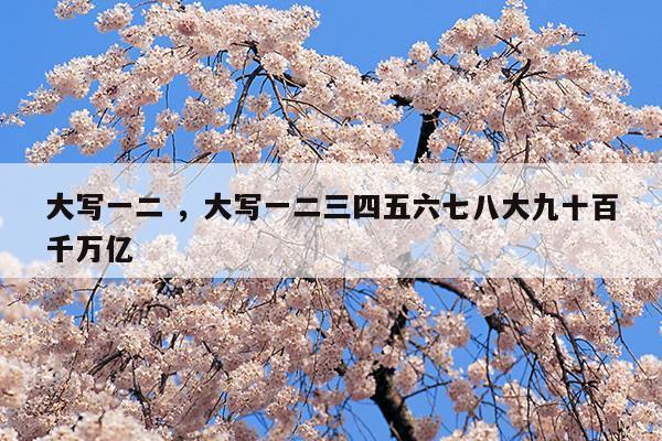 大寫一二大寫一二三四五六七八大九十百千萬億(大寫一二大寫一二三四五六七八大九十百千萬億)