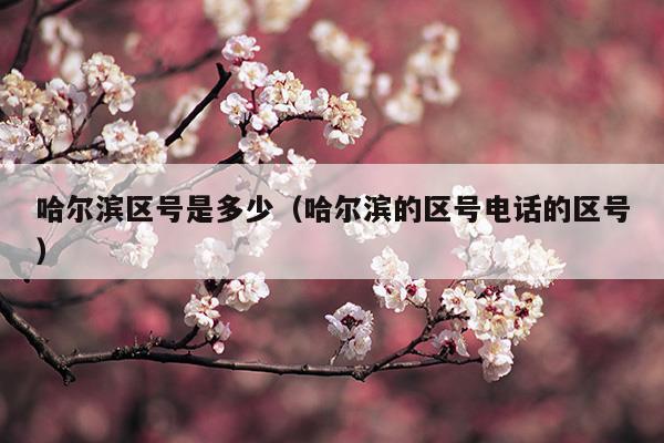 哈爾濱區(qū)號是多少(哈爾濱的區(qū)號電話的區(qū)號)