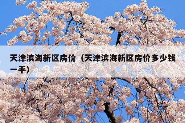 天津濱海新區(qū)房價(天津濱海新區(qū)房價2023最新房價走勢)