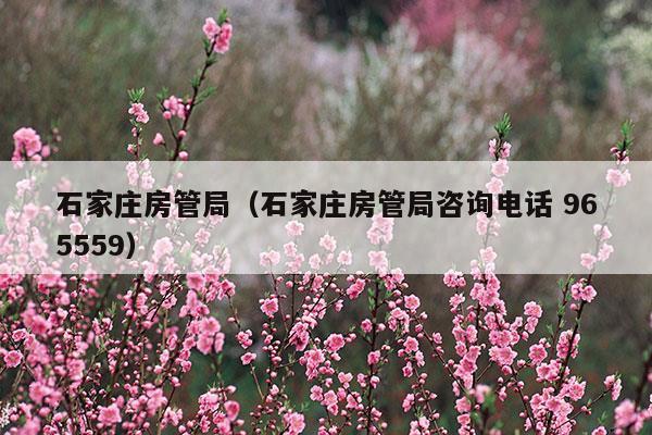 石家莊房管局(石家莊房管局官網(wǎng))