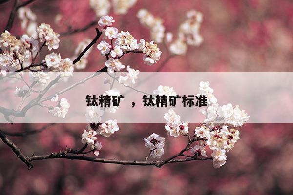 鈦精礦鈦精礦標(biāo)準(zhǔn)(鈦精礦品位價(jià)格如何定位?)