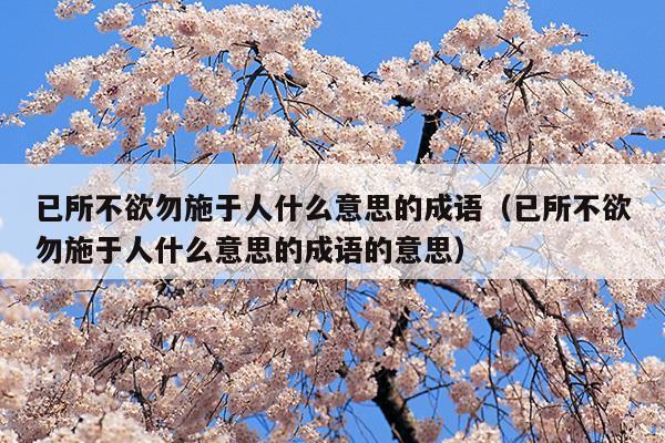 已所不欲勿施于人什么意思的成語(已所不欲勿施于人什么意思的成語屬于教師什么)