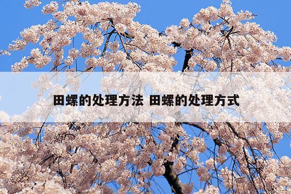 田螺的處理方法田螺的處理方式(田螺處理最簡(jiǎn)單方法)