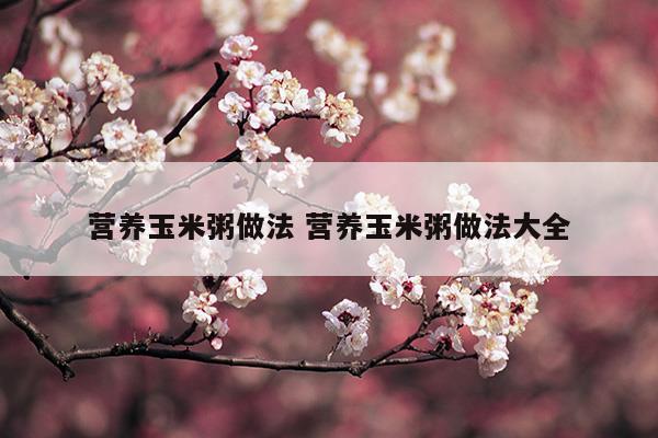 營(yíng)養(yǎng)玉米粥做法營(yíng)養(yǎng)玉米粥做法大全(玉米粥的功效與作用及營(yíng)養(yǎng)價(jià)值)