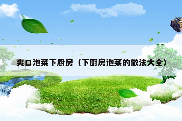 爽口泡菜下廚房(爽口泡菜怎么做好吃)