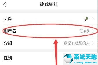 今日頭條怎樣改用戶名(今日頭條怎么改用戶名?)