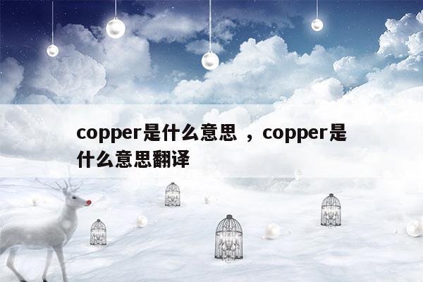 copper是什么意思copper是什么意思翻譯(copper coin什么意思)