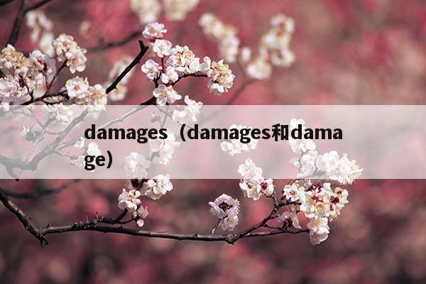 damages和damage