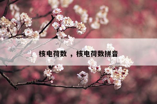 核電荷數(shù)和電荷數(shù)區(qū)別