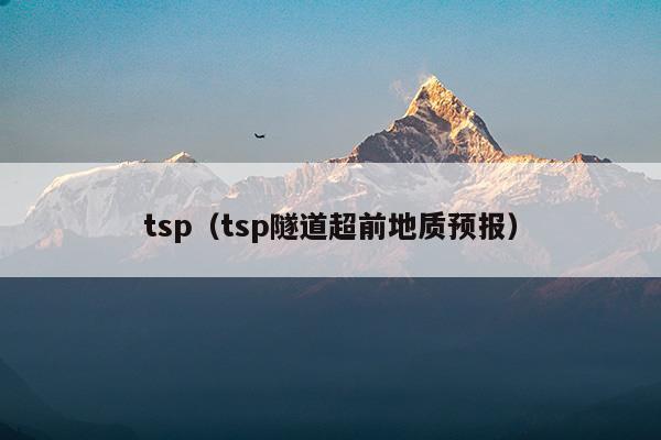 tsp(tsp問題)