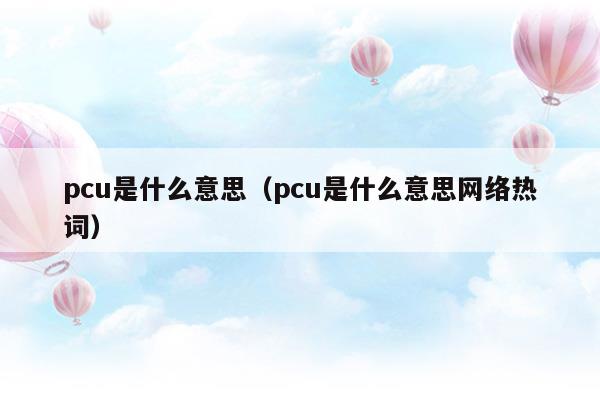 pcu是什么意思(pcu是什么意思的縮寫(xiě))