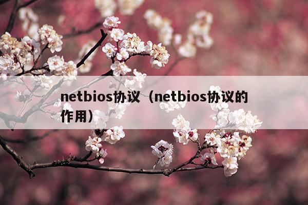 netbios協(xié)議(netbios協(xié)議在哪)