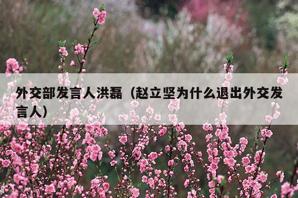 外交部發(fā)言人洪磊(外交部發(fā)言人人員名單大全)