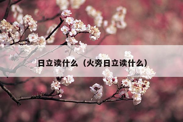 日立讀什么(日立讀什么字)