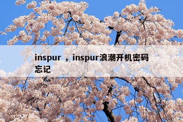 inspurinspur浪潮開機密碼忘記(浪潮設(shè)置密碼)