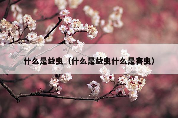 什么是益蟲(chóng)嗎