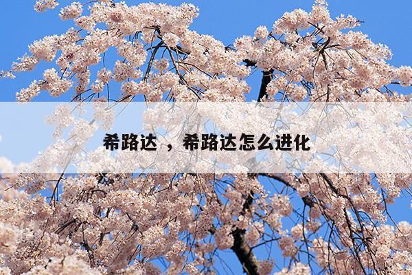 希路達(dá)希路達(dá)怎么進(jìn)化(神話紀(jì)元)