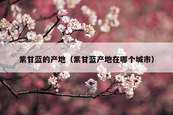 紫甘藍的產(chǎn)地(紫甘藍的產(chǎn)地都是哪里)