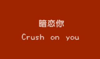 為什么叫喜歡的人crush(我最喜歡的人作文400字)