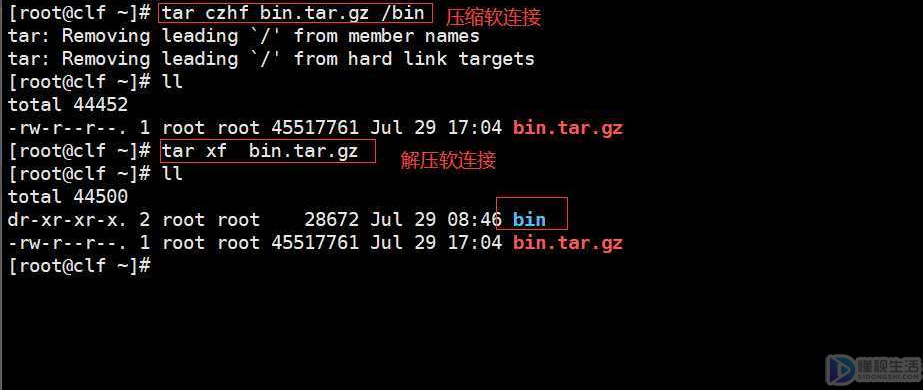 linux備份文件命令cp怎么用bak