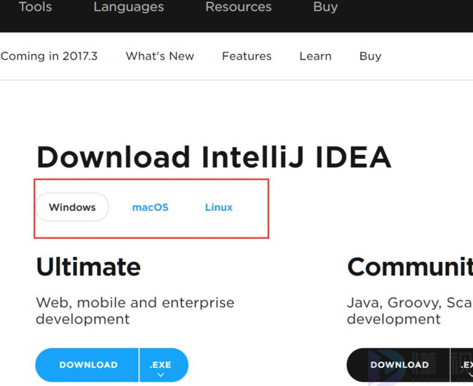 intellij官網(wǎng)