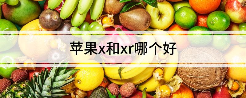 蘋果x和xr哪個好(蘋果x和xr揚(yáng)聲器)